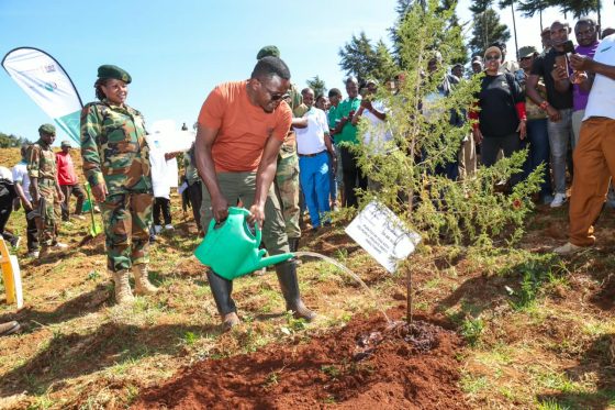 State Department, PPP Directorate Staff Plant 50,000 Trees in Support of the President’s Tree-Growing Initiative